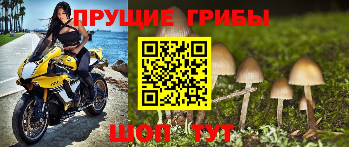 Псилоцибиновые грибы ЛСД Баксан